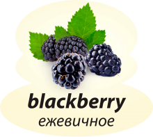Ежевичное Ежевичное